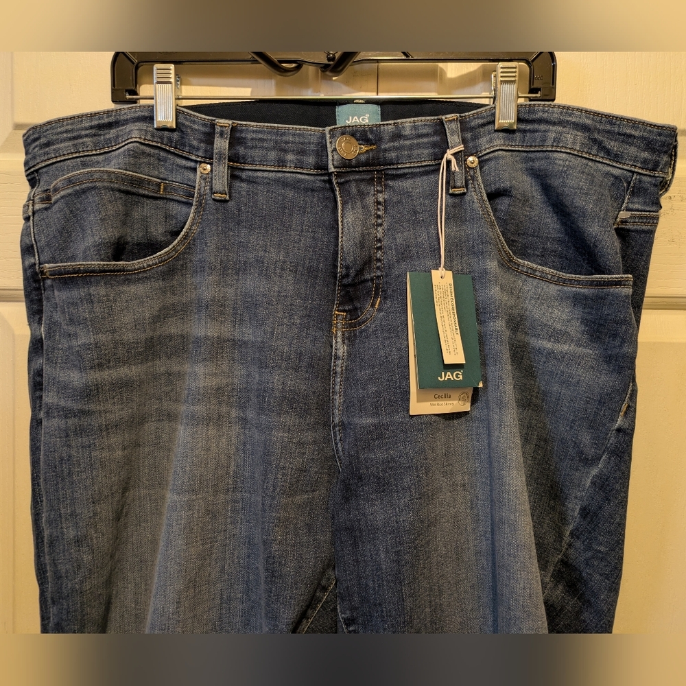 Jag Mid Rise Cecilia Skinny In Sky Blue Plus Size 22W New With Tags! - Picture 7 of 16